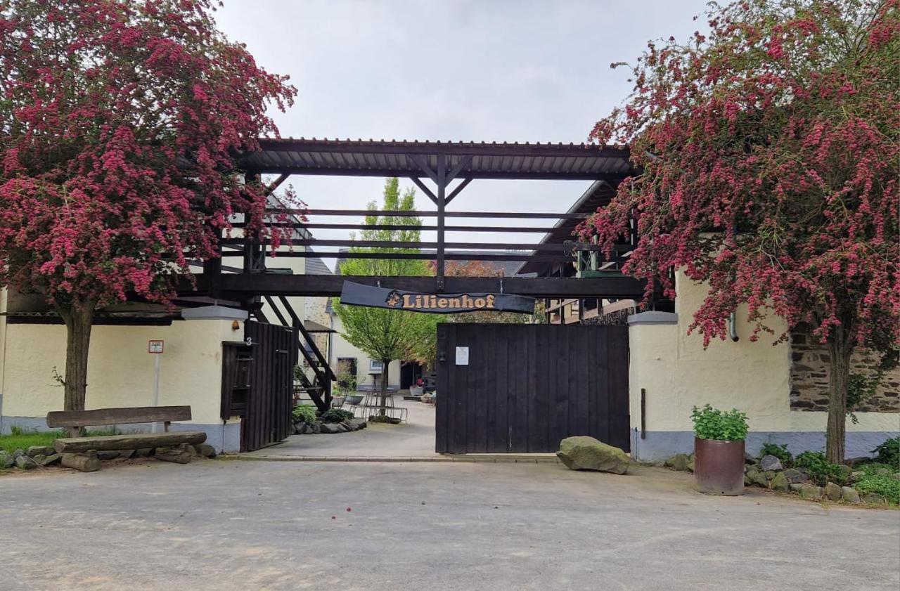 Moderne Ferienwohnung Black Beauty Auf Idyllischem Reiterhof Naehe Burg Eltz Munstermaifeld Exterior photo